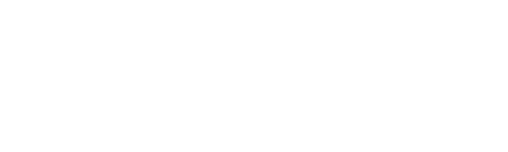 Pace317 Horz logo wht