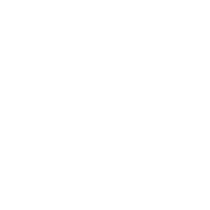 Pace317 logo white