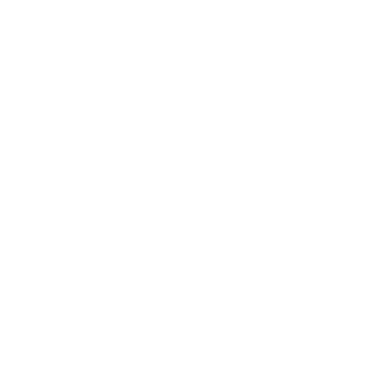 Embassy White logo new