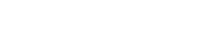 The Aston logo white